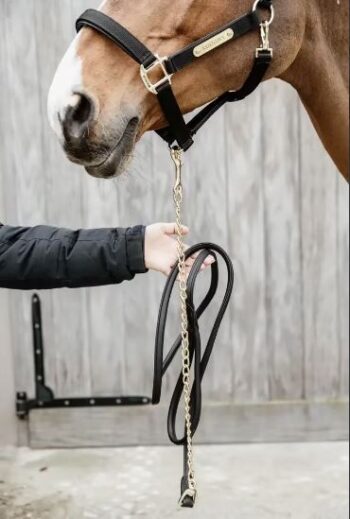 Kentucky Leather Chain Lead 2,7m