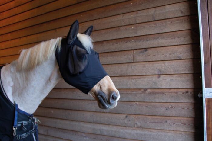 Catago Fir-Tech Fly mask