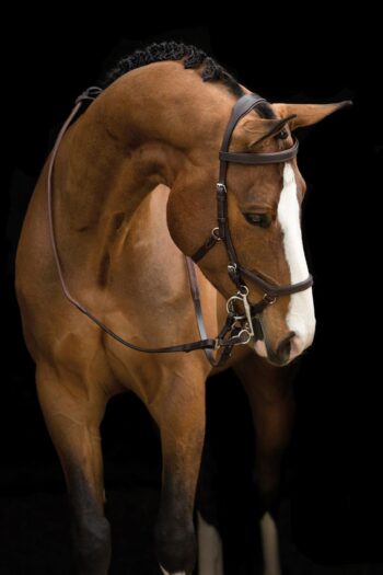 Micklem Competition bridle w/ reins