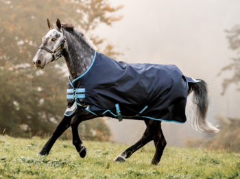 Horseware Amigo Bravo 12 Turnout 50g