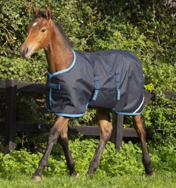 Horseware Amigo Foal Rug 50G