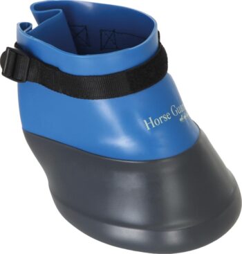 HG Horse Boot black/blue