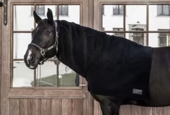 Kentucky Heavy Fleece Horse Scarf