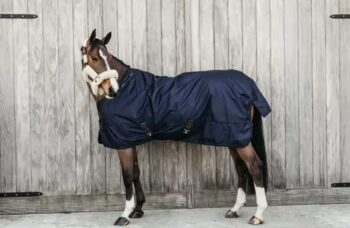 Kentucky Turnout Rug All Weather 160g