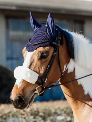 Kentucky Fly Veil