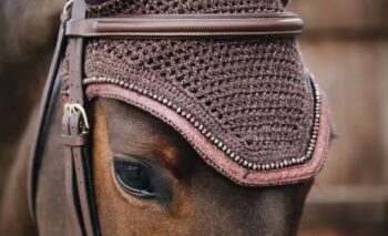 Kentucky Fly Veil Wellington Glitter