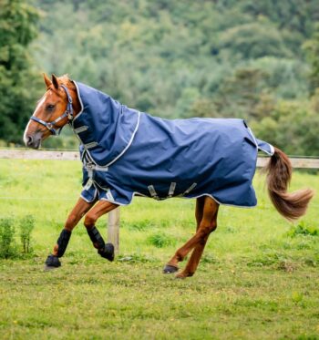 Horseware Amigo Bravo 12 Plus Turnout 100g V-front