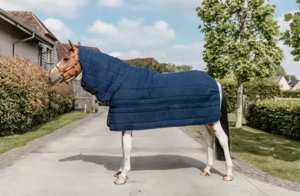 Kentucky Under Rug Skin Friendly Neck 150 gr