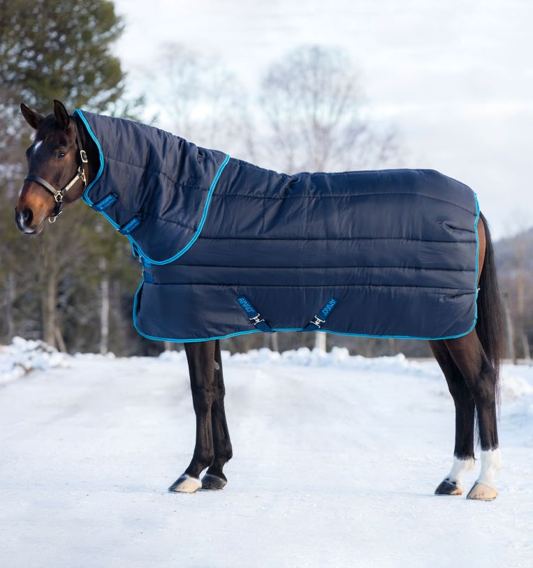Horseware Amigo Insulator 550g Plus navy/electric blue
