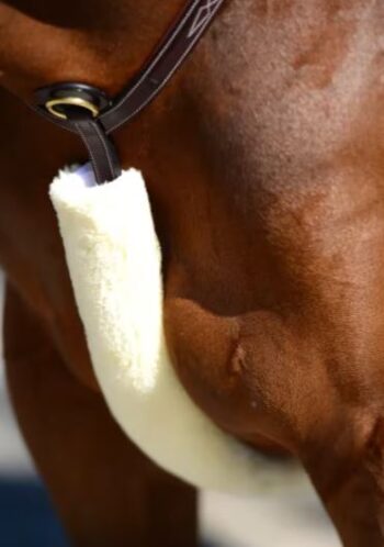 Kentucky Sheepskin Breastplate