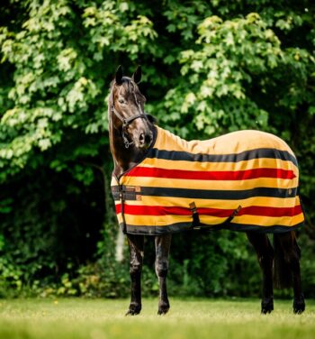 Horseware NEWmarket Fleece Cooler