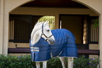 Horseware Amigo Ripstop Insulator Stable 100g