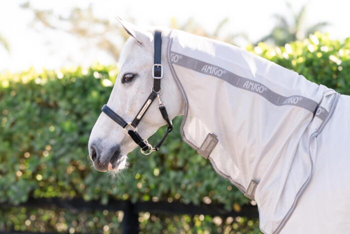 Horseware Amigo Fluedekken Integrated / All in one