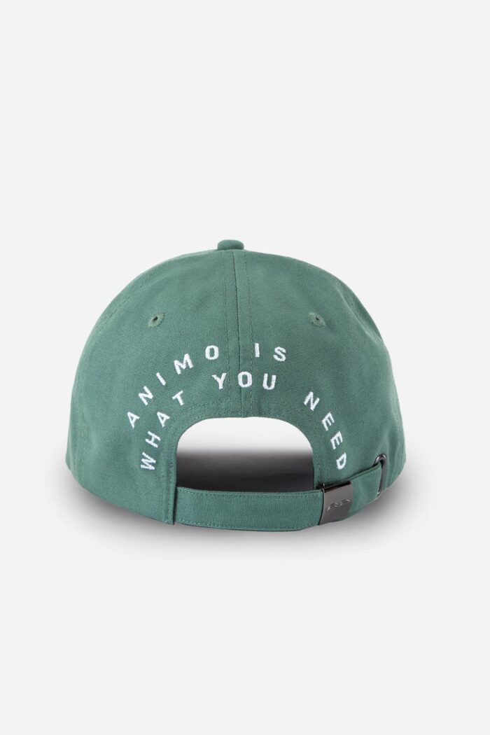Animo Violin Caps