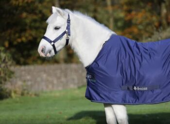 Bucas Dublin Halter