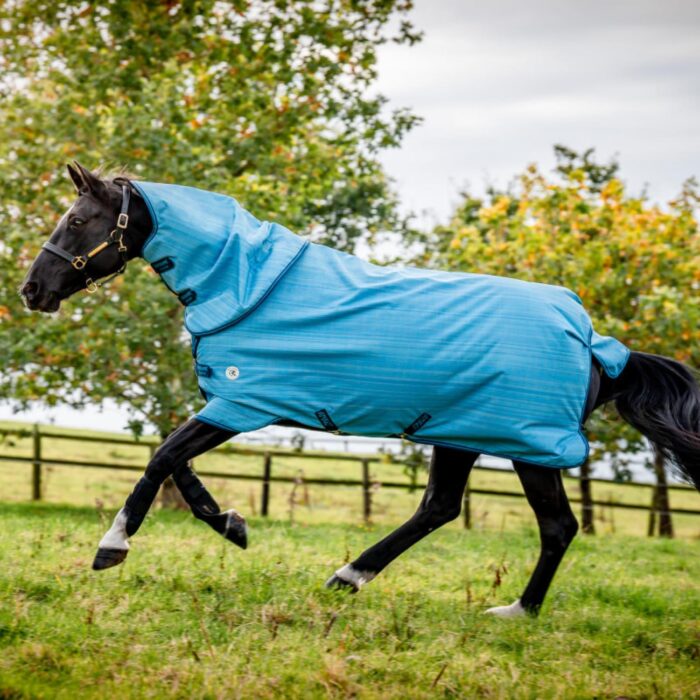 Horseware Amigo Hero 900 Revive Plus 50g