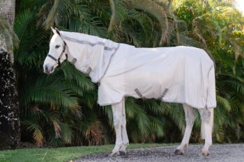 Horseware Amigo Fluedekken Integrated / All in one