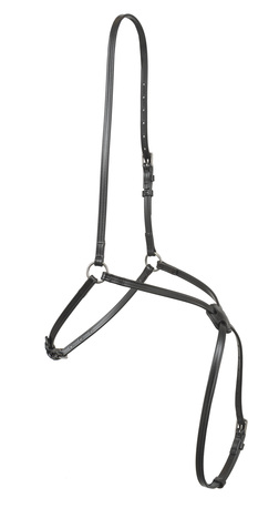 Wahlsten Kryss Nesereim fig 8 i Biothane