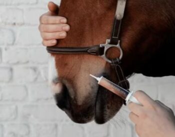 Grooming Deluxe Vitamin Booster Vital