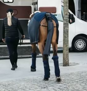 Horseware Tail Guard and Bag