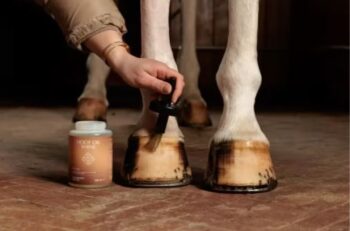 Grooming Deluxe Hoof Oil Shine