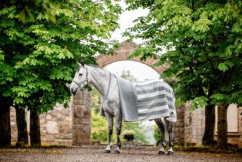 Horseware Newmarket Fleece dekken