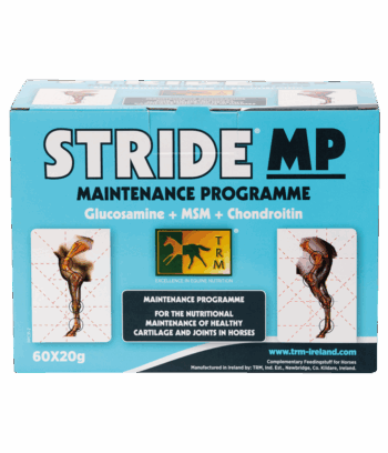 Stride MP 60x20g
