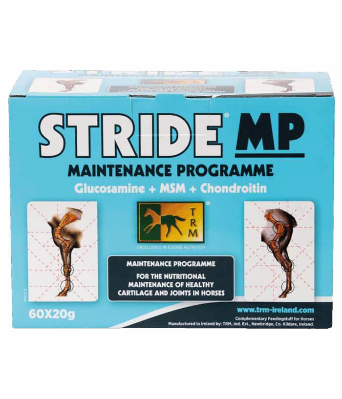Stride MP 60x20g