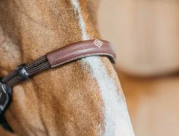 Dyon Bitless Bridle Working By Dyon