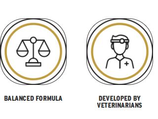 Global Medics Lacta Forte boks
