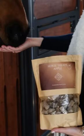 Groomin Deluxe Horse Treats Apple
