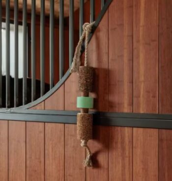 Grooming Deluxe Deluxe Wooden Relax Horse Toy with Salt lick Airways