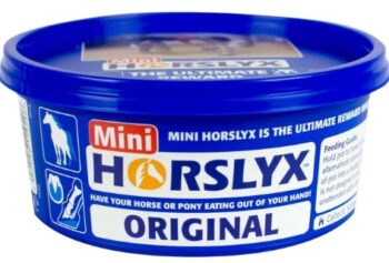 Horslyx Original mini