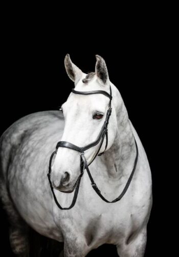 Micklem Bittløst Hodelag