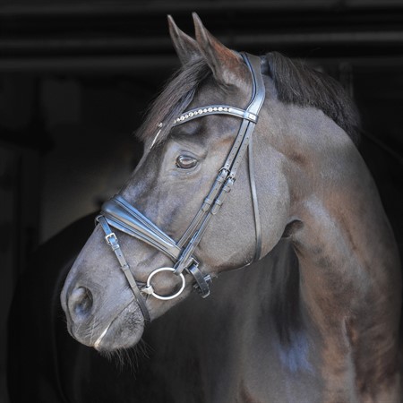 by Equalityline Helix Dressur Hodelag m grå krystall i pannebåndet
