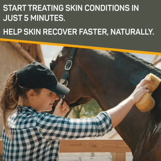 Absorbine Silver Honey Medicated Shampoo 437 ml