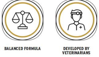 Global Medics Derma Pro