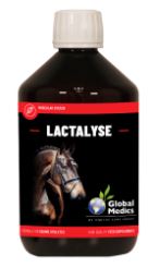 Global Medics Lactalyse