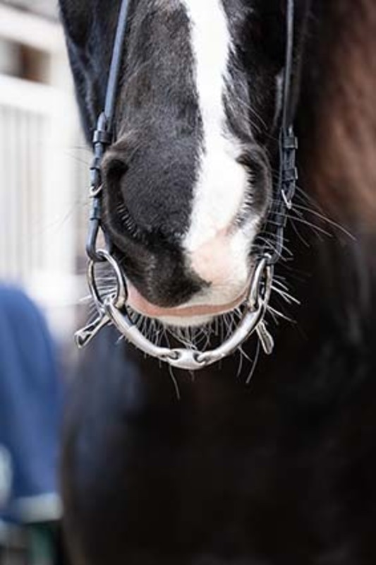 Sprenger Satinox Travbitt 3-delt 14mm