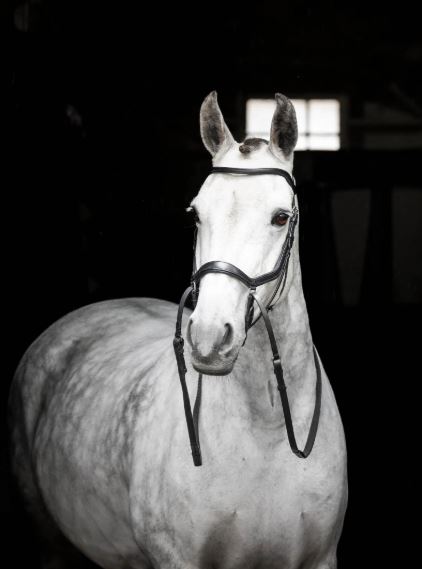 Micklem Bittløst Hodelag