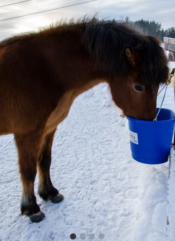 Varmebøtta fra Gårdskjøp 20L inkl omformer