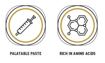 Global Medics Energy boost 60 g tube