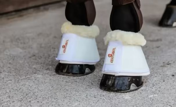 Kentucky Black Sheepskin Leather Overreach Boots