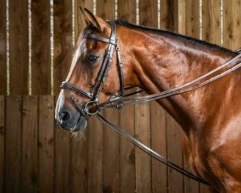 Dyon Hunter Draw Reins