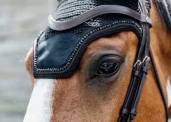 Kentucky Fly Veil Wellington Soundless Velvet Pearls