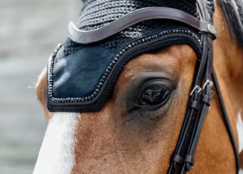 Kentucky Fly Veil Wellington Soundless Velvet Pearls