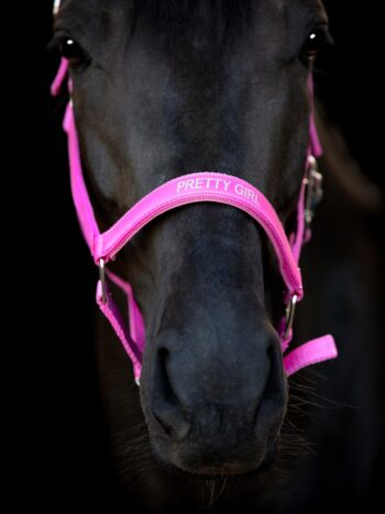 HG Malva Grime m tekst PRETTY GIRL