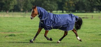 Bucas Freedom Turnout 150/150 Full Neck Graphit med rød kant