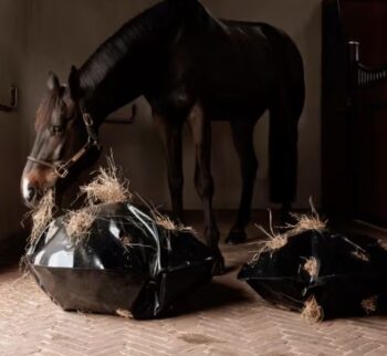 Grooming Deluxe Play & Haybag Slowfeeder Round