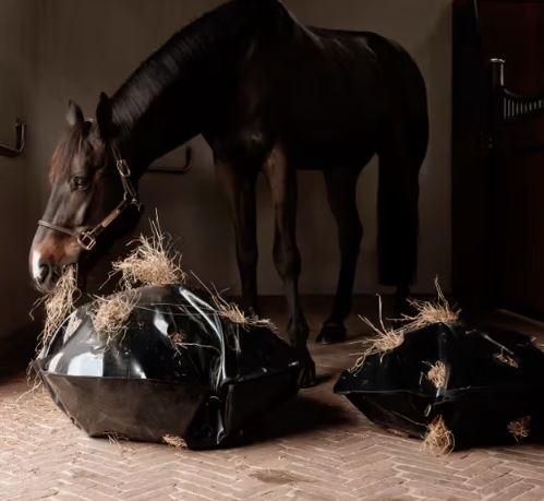 Grooming Deluxe Play & Haybag Slowfeeder Round